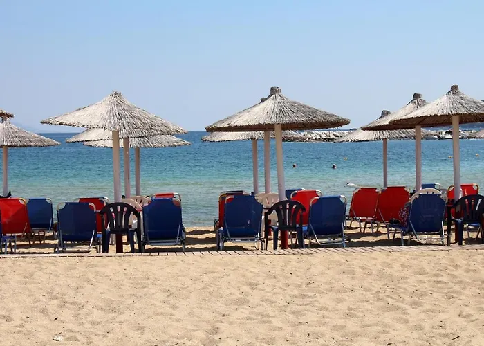 Litsa Case de vacanță